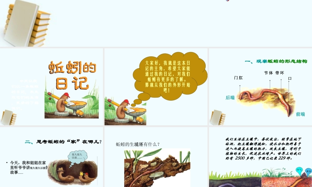 三年级科学上册 蚯蚓课件 教科版 