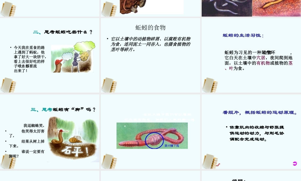 三年级科学上册 蚯蚓课件 教科版 