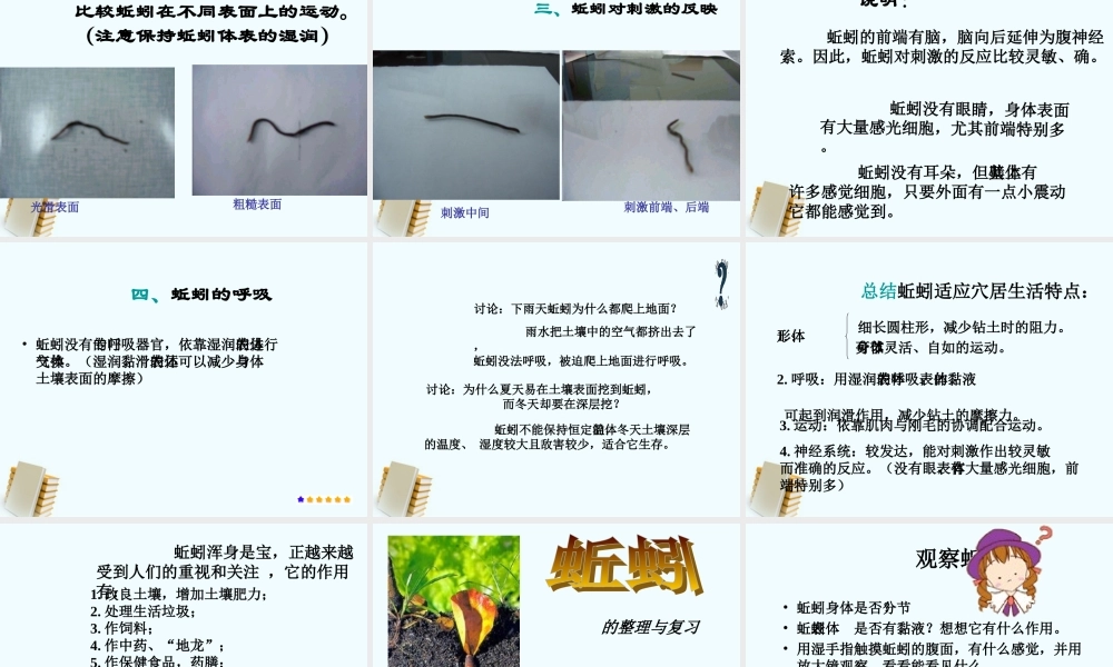 三年级科学上册 蚯蚓课件 教科版 