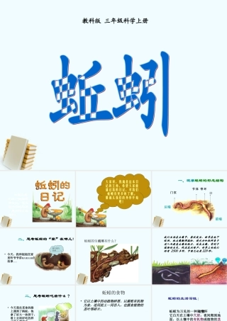 三年级科学上册 蚯蚓课件 教科版 