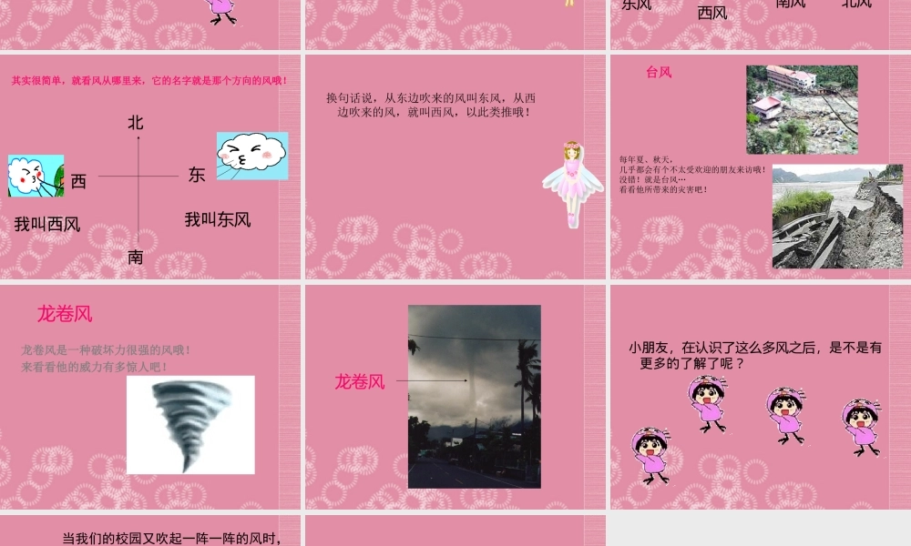 三年级科学下册 流动的空气 1课件 首师大版