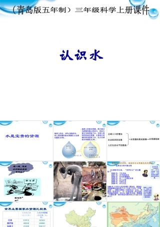 三年级科学上册 认识水课件1 青岛版