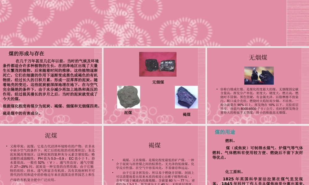 三年级科学下册 煤 1课件 首师大版