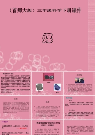 三年级科学下册 煤 1课件 首师大版