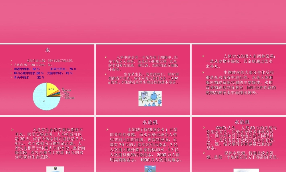 三年级科学上册 认识水课件2 青岛版