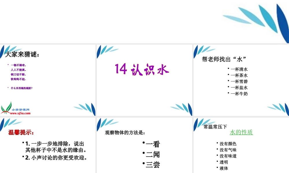 三年级科学上册 认识水课件3 青岛版