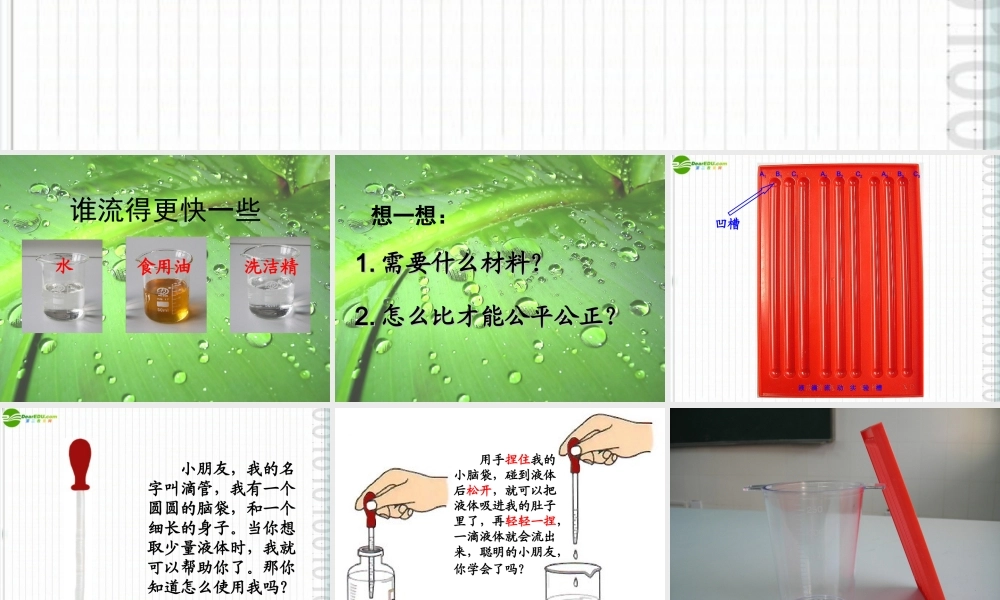 三年级科学上册 谁流的更快一些 2课件 教科版