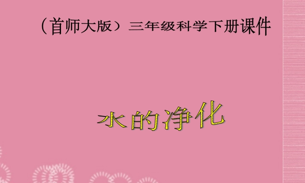 三年级科学下册 水的净化 1课件 首师大版