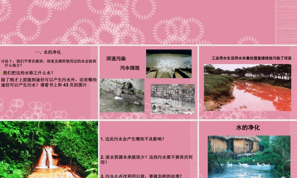 三年级科学下册 水的净化 1课件 首师大版