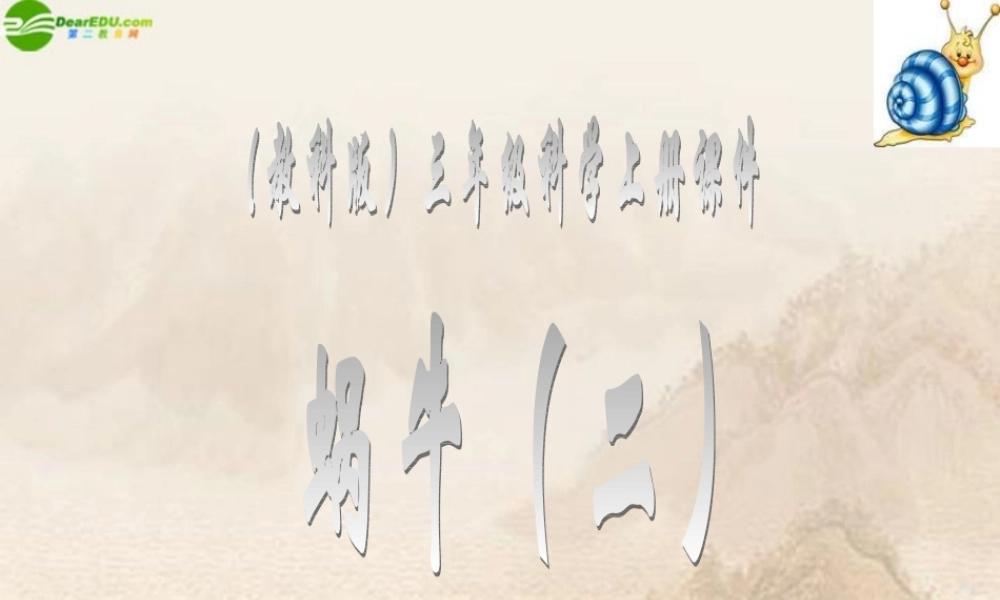 三年级科学上册 蜗牛（二）课件 教科版