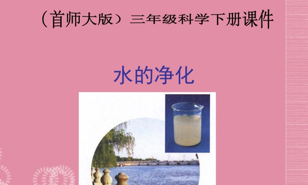三年级科学下册 水的净化 2课件 首师大版