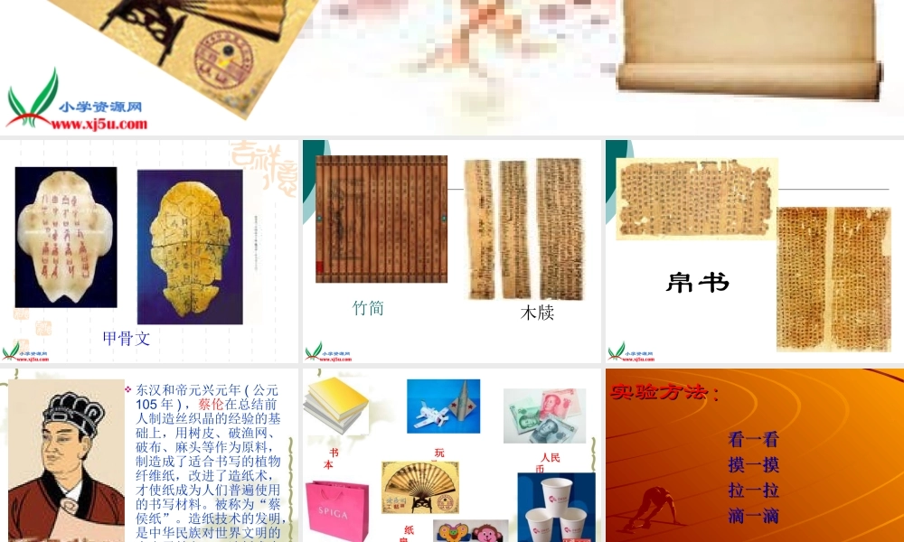 三年级科学上册 纸课件 苏教版