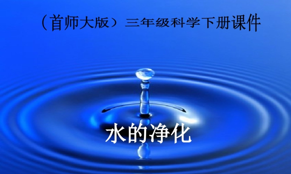 三年级科学下册 水的净化 3课件 首师大版