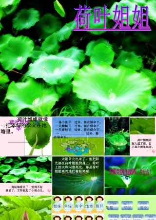 一年级语文下册 阅读三《荷叶姐姐》课件2 教科版-教科版小学一年级下册语文课件
