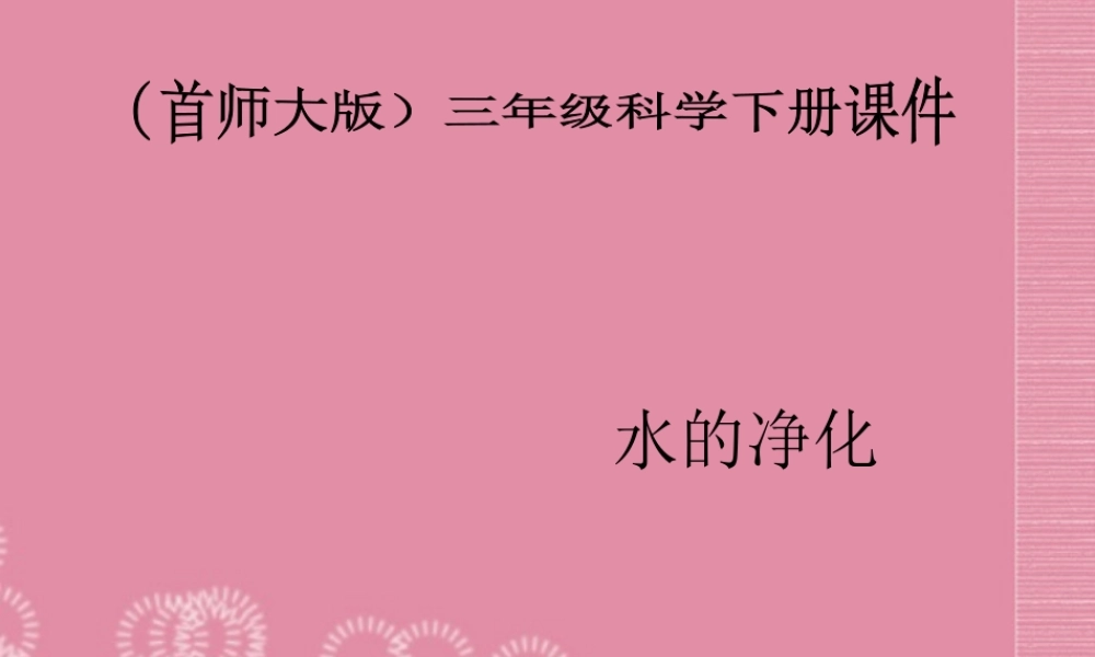 三年级科学下册 水的净化 4课件 首师大版