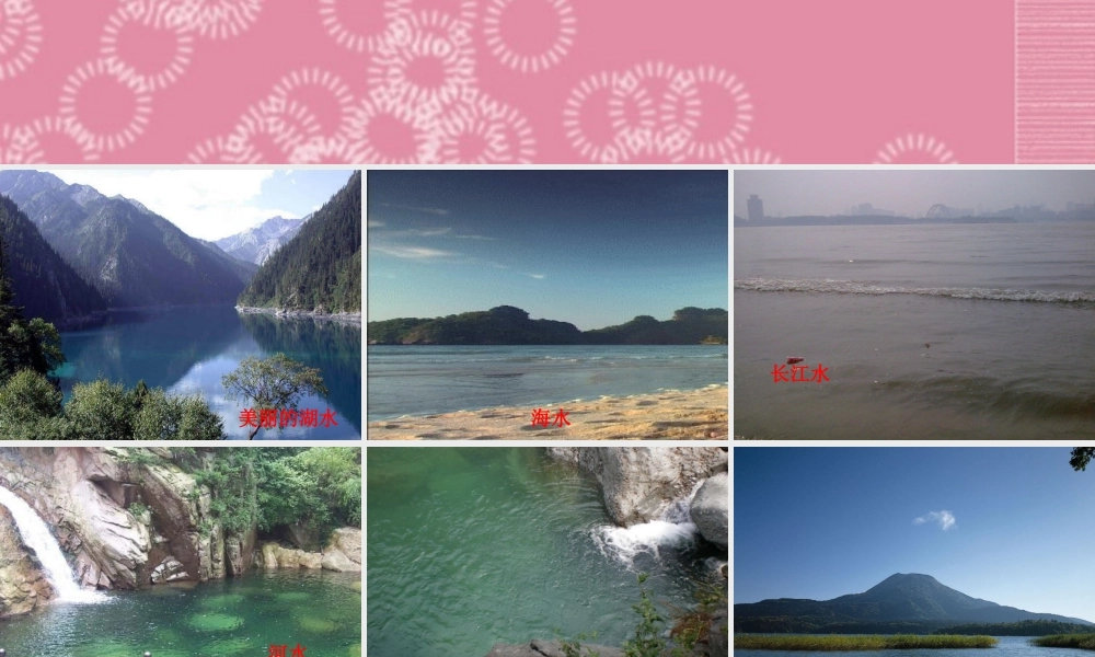 三年级科学下册 水的净化 4课件 首师大版