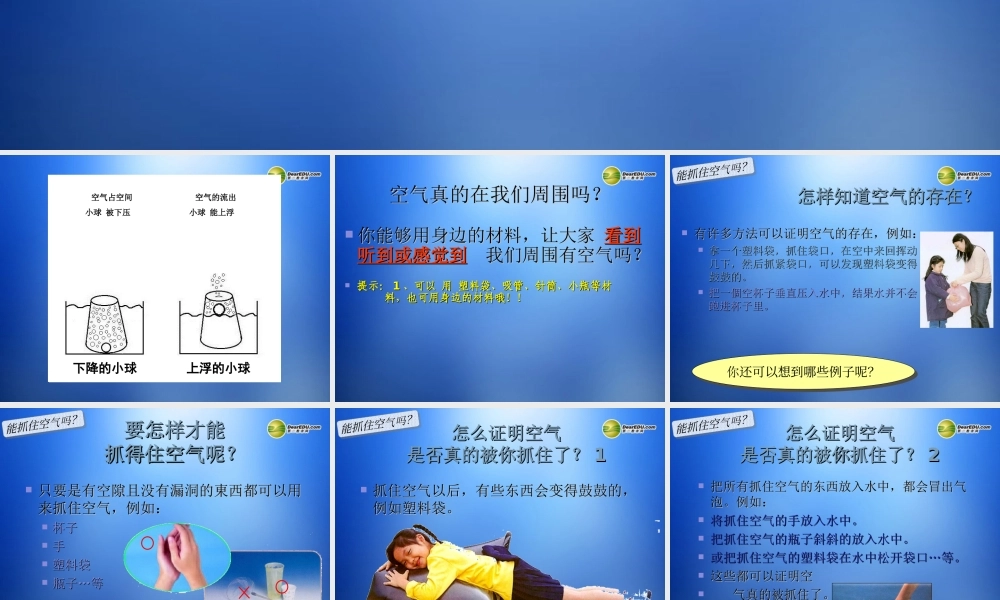 三年级科学上册《清新的空气》课件 教科版