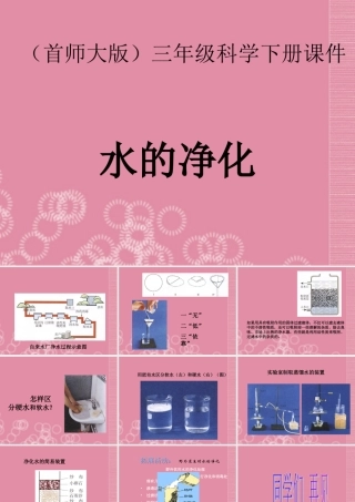 三年级科学下册 水的净化 5课件 首师大版