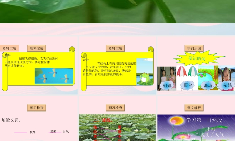 一年级语文下册 阅读三《荷叶姐姐》课件4 教科版-教科版小学一年级下册语文课件