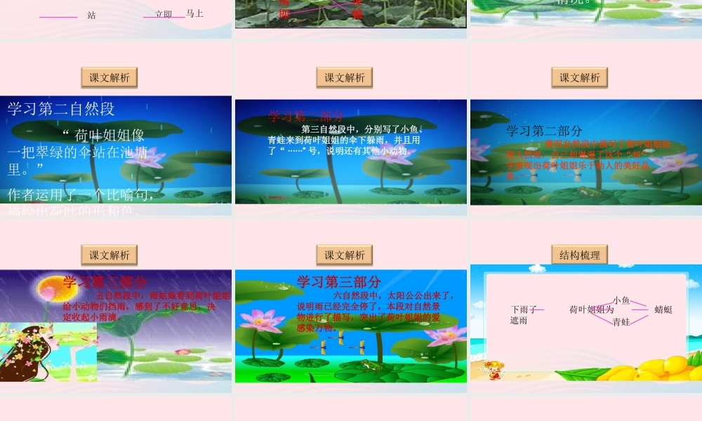 一年级语文下册 阅读三《荷叶姐姐》课件4 教科版-教科版小学一年级下册语文课件