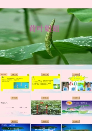 一年级语文下册 阅读三《荷叶姐姐》课件4 教科版-教科版小学一年级下册语文课件