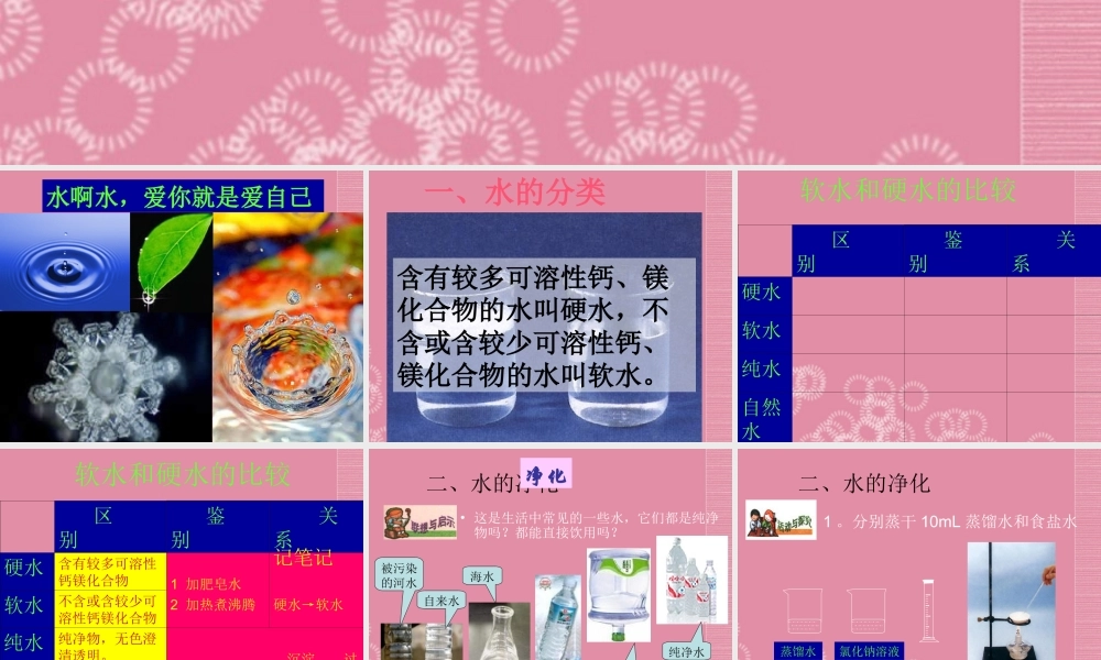 三年级科学下册 水的净化 6课件 首师大版