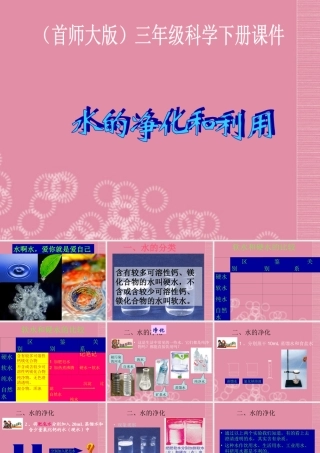 三年级科学下册 水的净化 6课件 首师大版