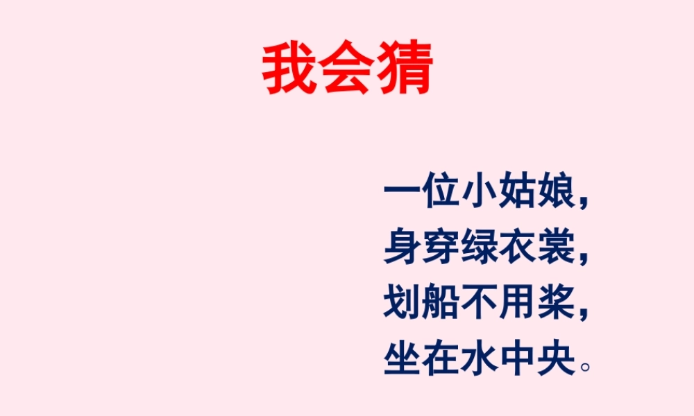 一年级语文下册 阅读三《荷叶姐姐》课件5 教科版-教科版小学一年级下册语文课件