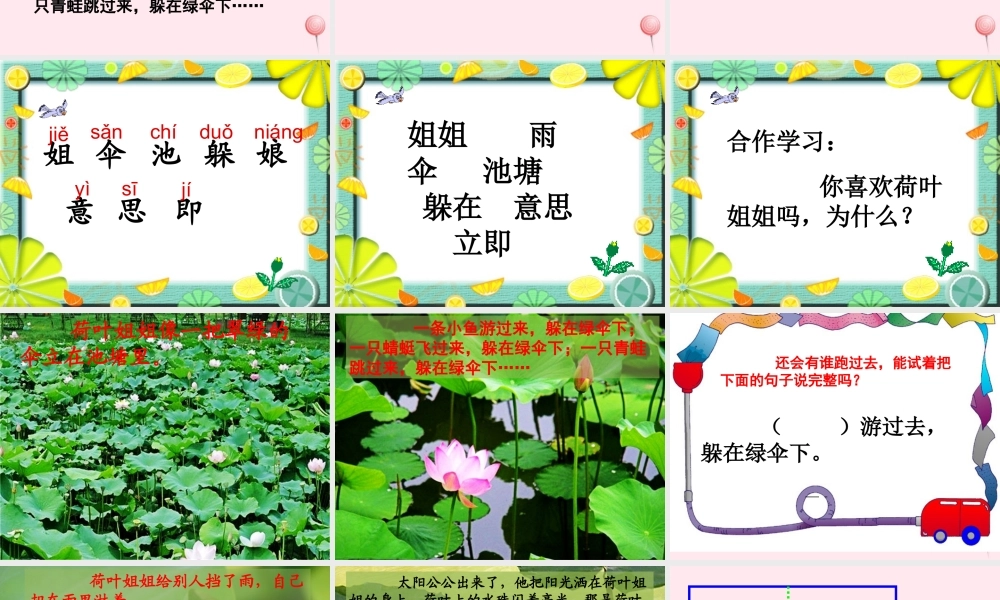 一年级语文下册 阅读三《荷叶姐姐》课件5 教科版-教科版小学一年级下册语文课件