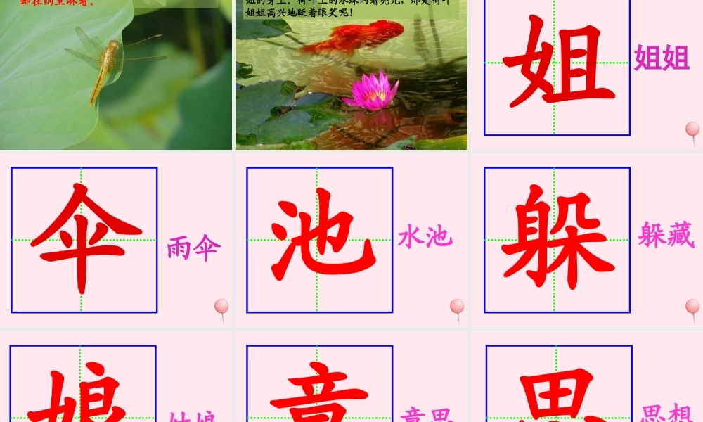 一年级语文下册 阅读三《荷叶姐姐》课件5 教科版-教科版小学一年级下册语文课件