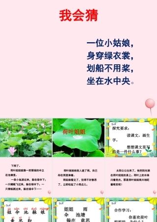 一年级语文下册 阅读三《荷叶姐姐》课件5 教科版-教科版小学一年级下册语文课件