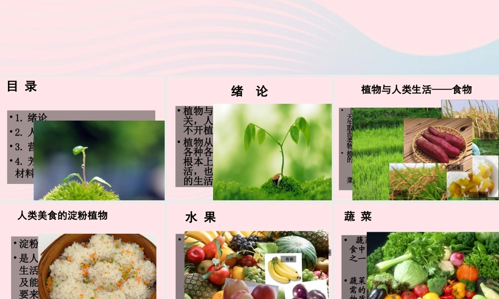 三年级科学下册 四 植物和我们 1《植物和我们的生活》课件1 新人教版-新人教版小学三年级下册自然科学课件