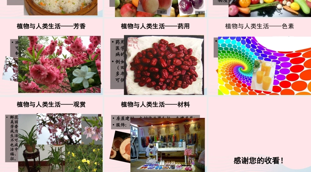 三年级科学下册 四 植物和我们 1《植物和我们的生活》课件1 新人教版-新人教版小学三年级下册自然科学课件