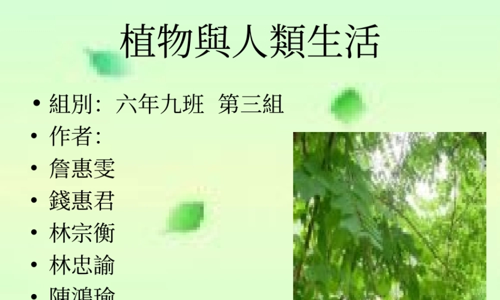 三年级科学下册 四 植物和我们 1《植物和我们的生活》课件2 新人教版-新人教版小学三年级下册自然科学课件