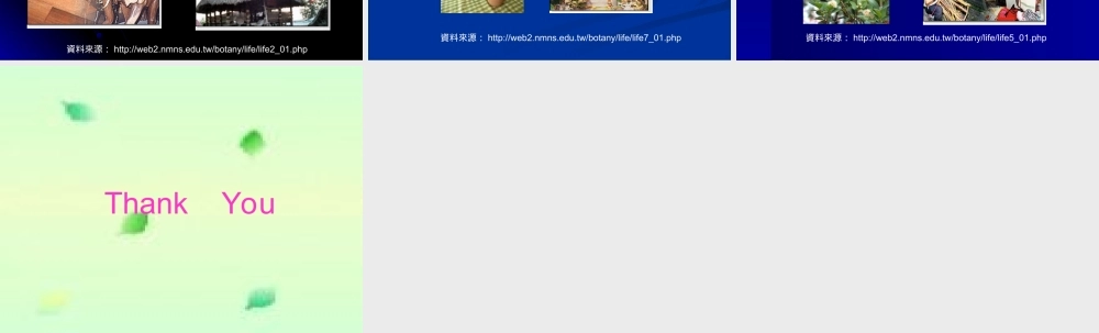 三年级科学下册 四 植物和我们 1《植物和我们的生活》课件2 新人教版-新人教版小学三年级下册自然科学课件