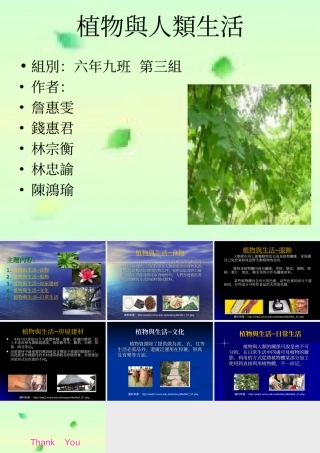 三年级科学下册 四 植物和我们 1《植物和我们的生活》课件2 新人教版-新人教版小学三年级下册自然科学课件