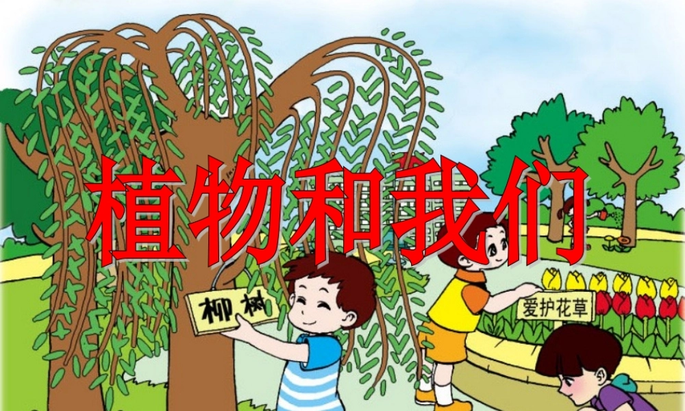 三年级科学下册 四 植物和我们 1《植物和我们的生活》课件3 新人教版-新人教版小学三年级下册自然科学课件