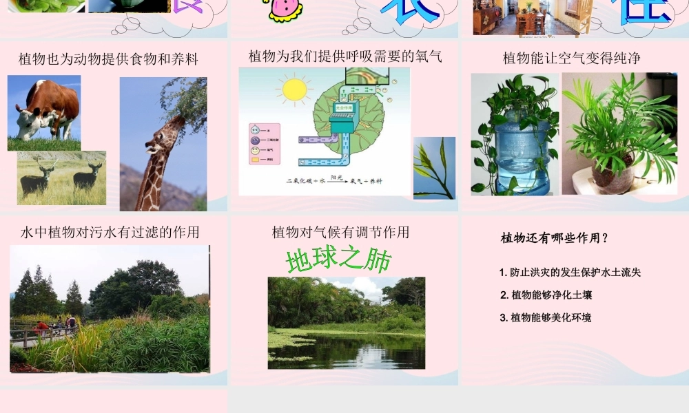 三年级科学下册 四 植物和我们 1《植物和我们的生活》课件3 新人教版-新人教版小学三年级下册自然科学课件