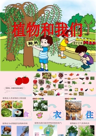 三年级科学下册 四 植物和我们 1《植物和我们的生活》课件3 新人教版-新人教版小学三年级下册自然科学课件