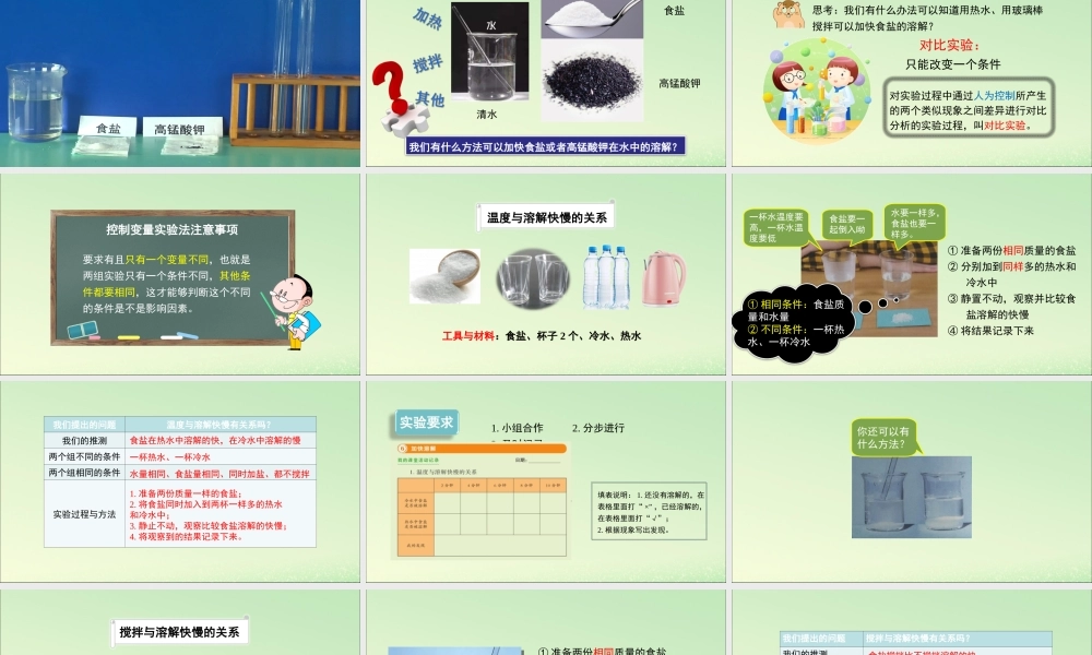 三年级科学上册 水 6 《加快溶解》教学课件 教科版-教科版小学三年级上册自然科学课件