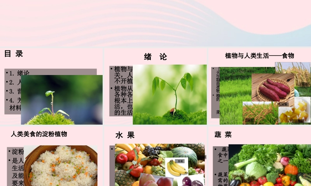 三年级科学下册 四 植物和我们 第1课《植物和我们的生活》课件1 新人教版-新人教版小学三年级下册自然科学课件