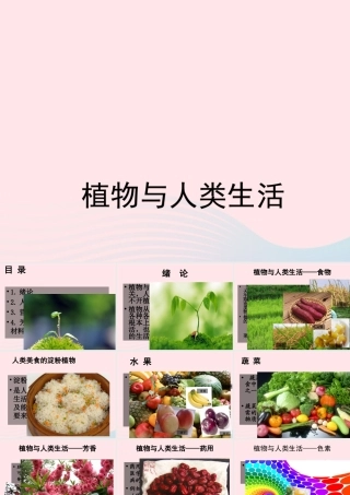三年级科学下册 四 植物和我们 第1课《植物和我们的生活》课件1 新人教版-新人教版小学三年级下册自然科学课件
