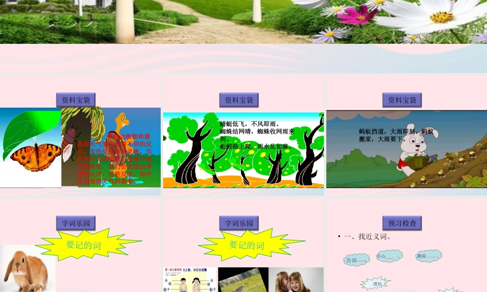 一年级语文下册 阅读四 第8课《要下雨了》课件1 教科版-教科版小学一年级下册语文课件