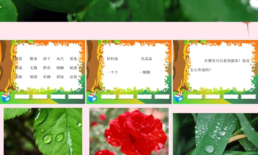 一年级语文下册 阅读四《露珠》课件1 教科版-教科版小学一年级下册语文课件