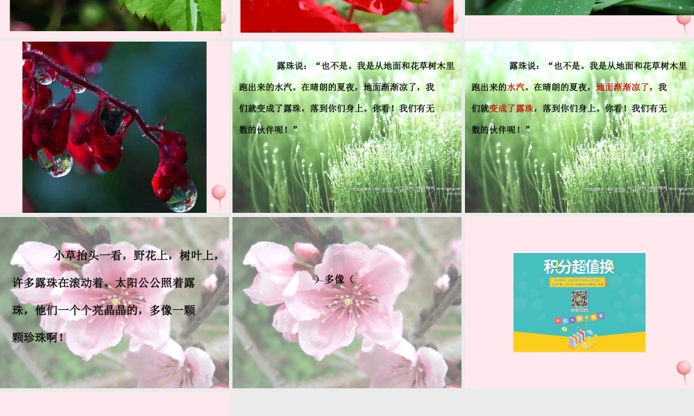 一年级语文下册 阅读四《露珠》课件1 教科版-教科版小学一年级下册语文课件