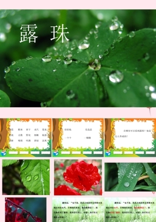 一年级语文下册 阅读四《露珠》课件1 教科版-教科版小学一年级下册语文课件