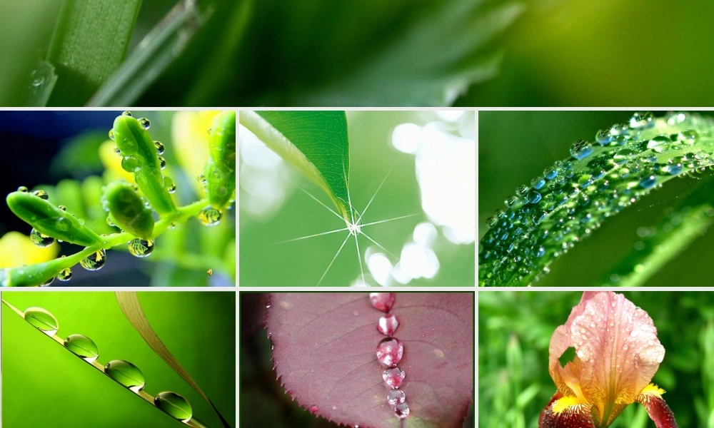 一年级语文下册 阅读四《露珠》课件2 教科版-教科版小学一年级下册语文课件