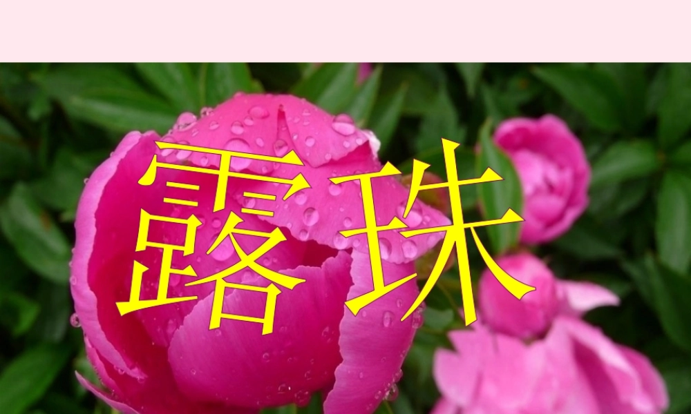 一年级语文下册 阅读四《露珠》课件3 教科版-教科版小学一年级下册语文课件