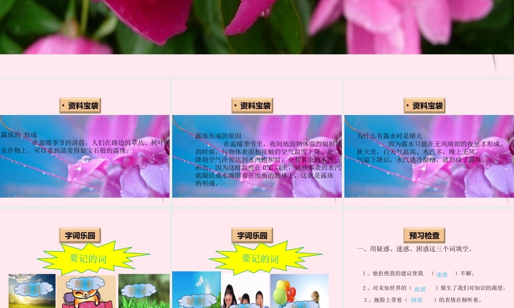 一年级语文下册 阅读四《露珠》课件3 教科版-教科版小学一年级下册语文课件