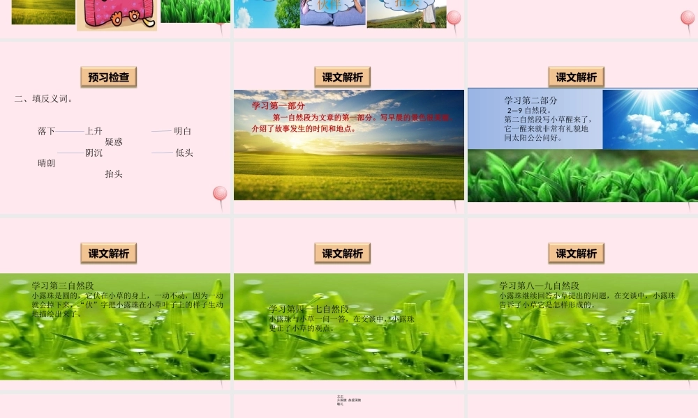 一年级语文下册 阅读四《露珠》课件3 教科版-教科版小学一年级下册语文课件